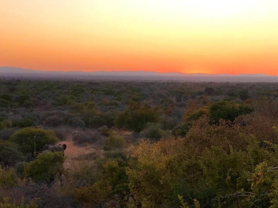 Boabab Lodge Mabula Game Reserve Dış mekan fotoğraf