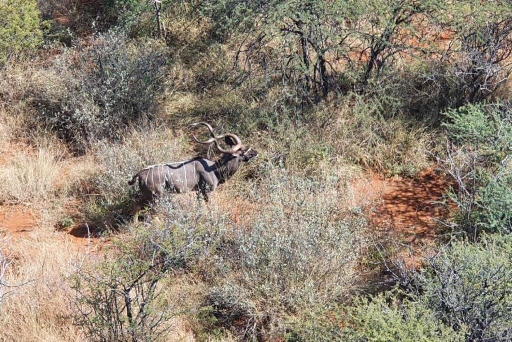 Boabab Lodge Mabula Game Reserve Dış mekan fotoğraf